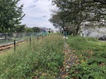 花ﾌﾟﾛ　前　021005.JPG